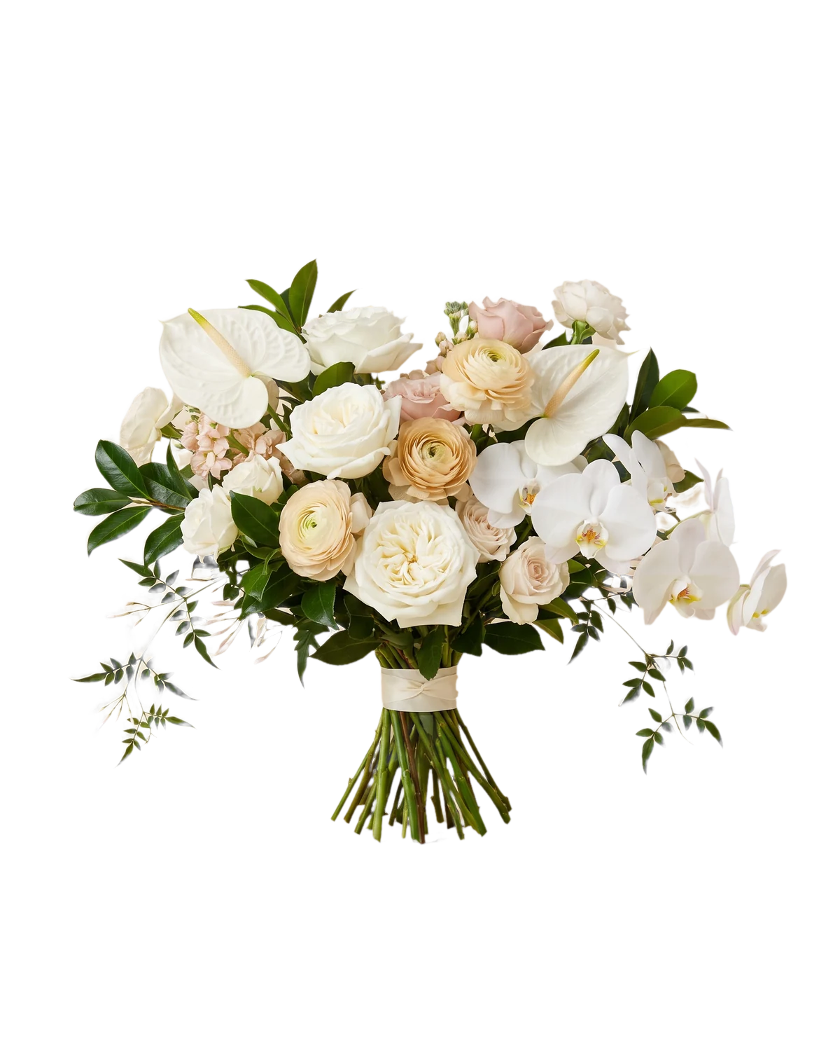 Bouquet noué blanc, crème et champagne&nbsp;: roses de jardin, renoncules, anthuriums blancs et orchidées phalaenopsis, feuillage vert foncé et rameaux de jasmin, tiges liées d’un ruban ivoire.